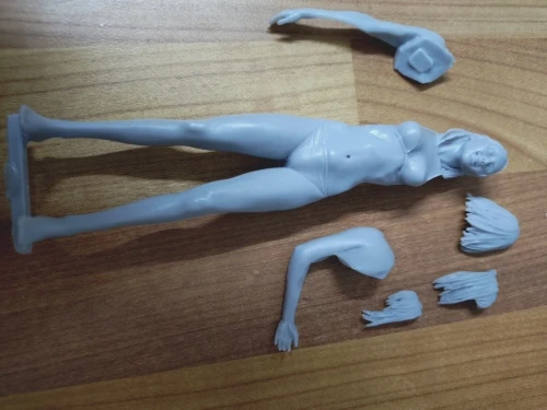 Buyer photo of this resin kit