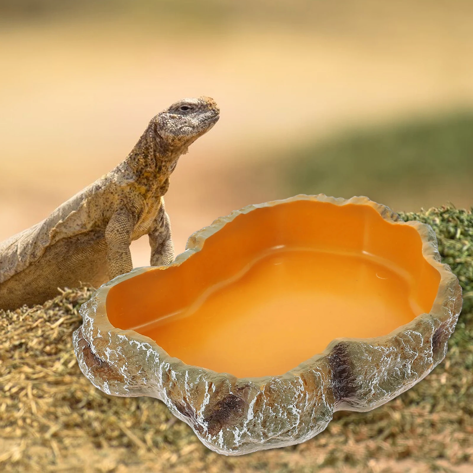 Thumbnail 2 - #10 Latest Reptile Water Bowls Offers