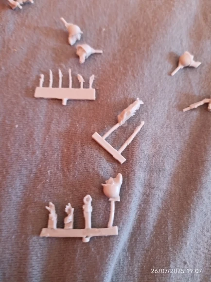 Buyer photo of this resin kit