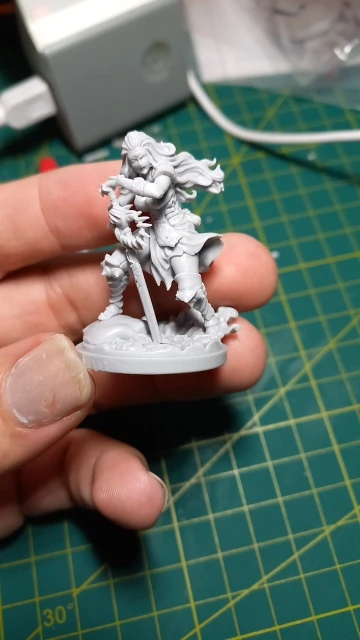 Buyer photo of this resin kit