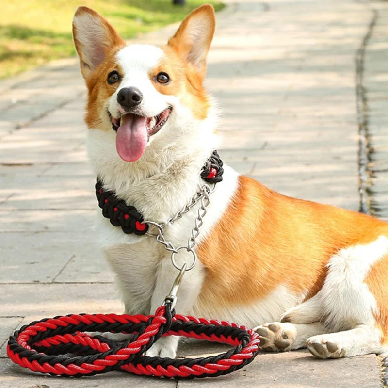 Tist rope large dog neckline + lead string (1.25M) (thickness 2.5cm) (red)