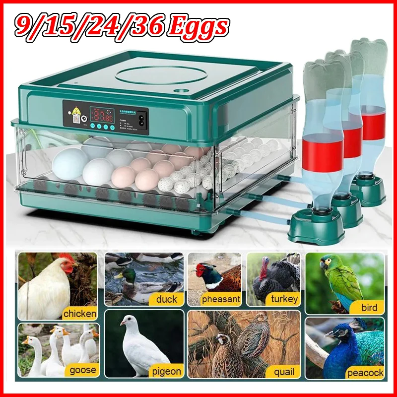 Incubatrice per 9/15/24/36 uova con Mini incubatore eg di tipo draw con rifornimento ionico