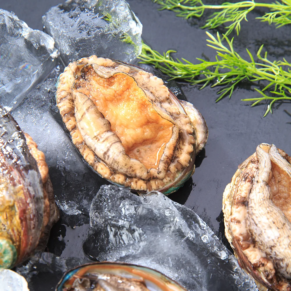 미다몰 그곳에가면 국내산 완도 활 전복 21-25미내외 1kg 소