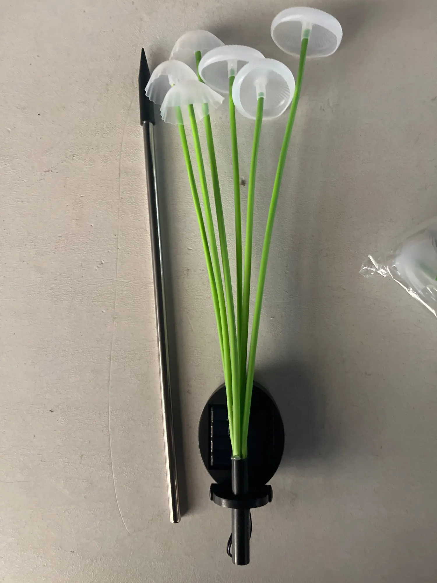 Customer review photo