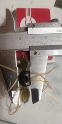 Imagen de reseña 5