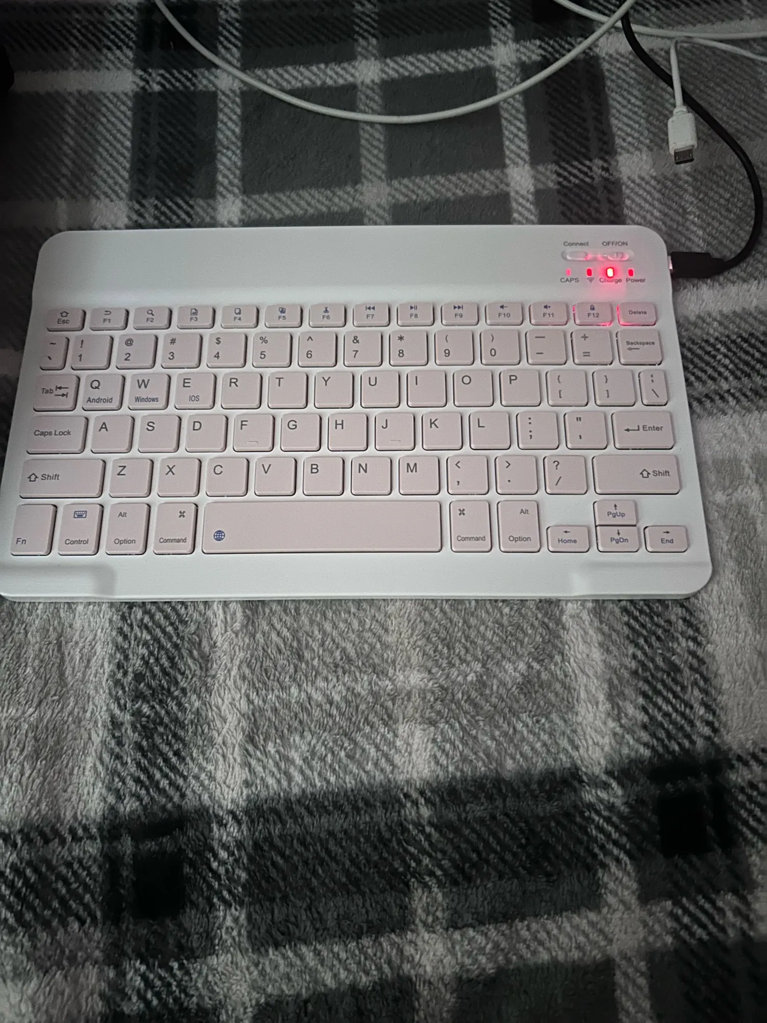 실물 포토 리뷰