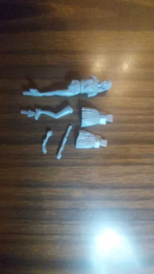Buyer photo of this resin kit