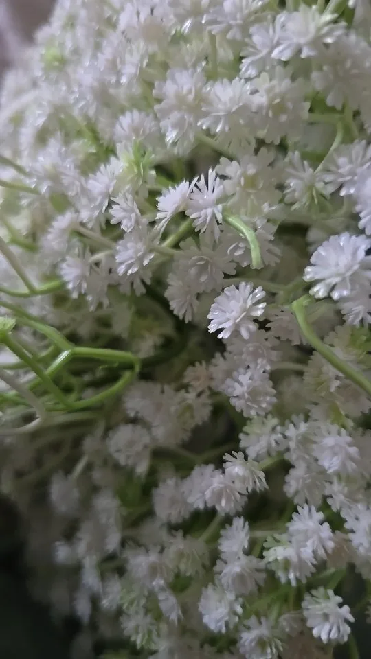 30pcs Artificial Baby's Breath Flowers Real Touch Gypsophila Suitable For Wedding Bride Engagement Home Ornament Room Decoration photo review