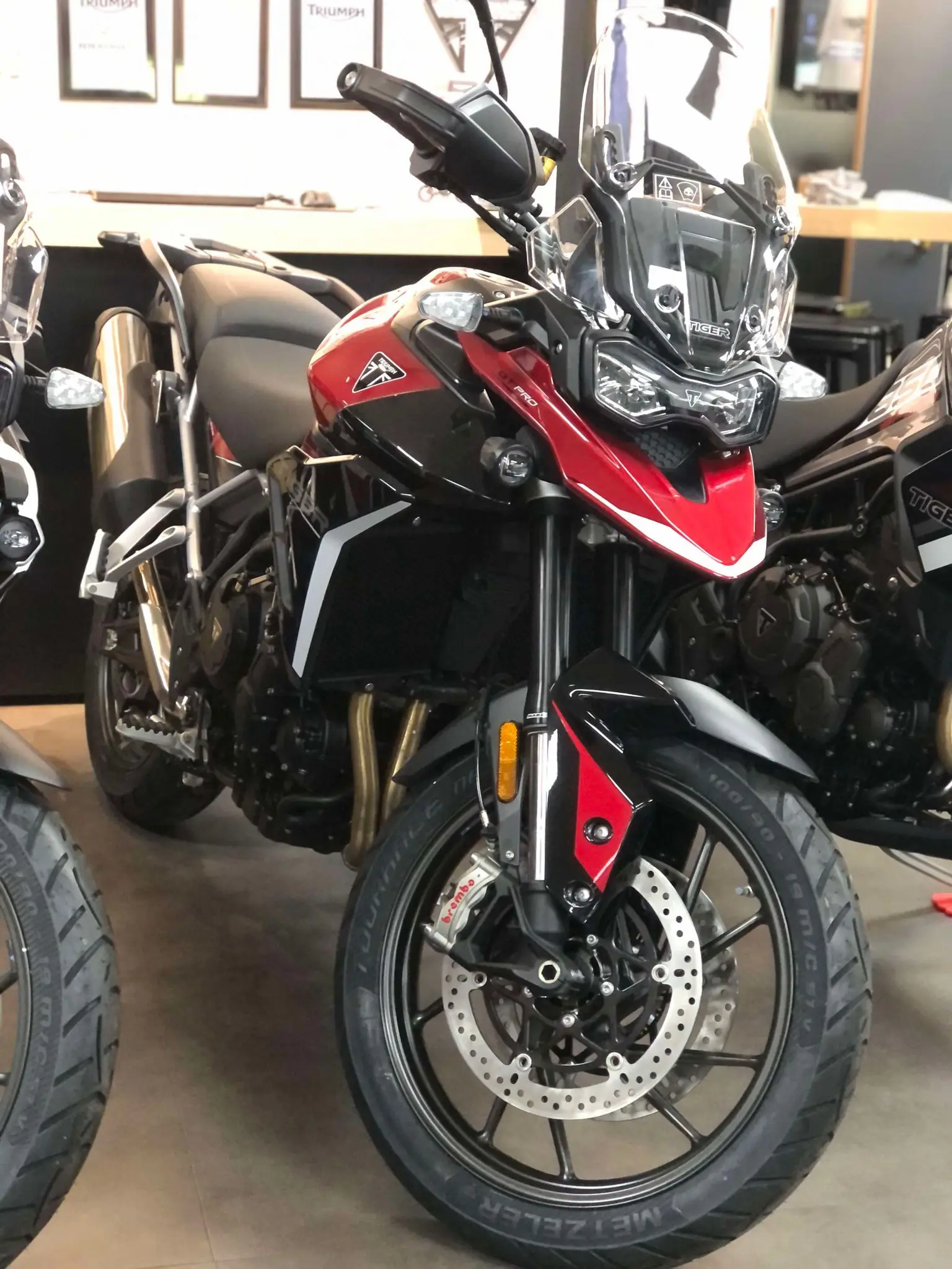 NEW STOCK 2024 Triumph Tiger 900 GT Pro 🏍