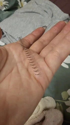 리뷰 사진