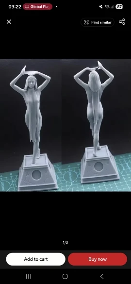 Buyer photo of this resin kit