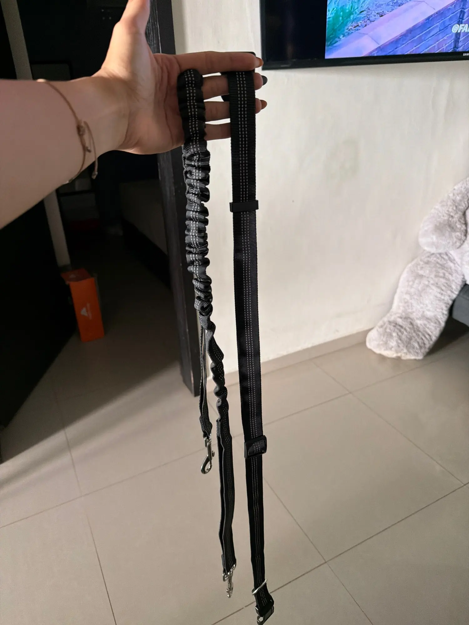 Customer review photo for Hands-Free Bungee Dog Leash with Adjustable Waist Belt
