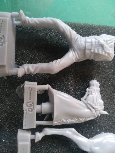 Buyer photo of this resin kit