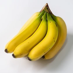 국내산 유기농 바나나 1.5kg 2.5kg