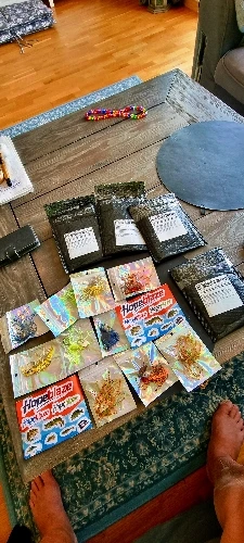 실물 포토 리뷰