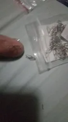Imagen de reseña 4