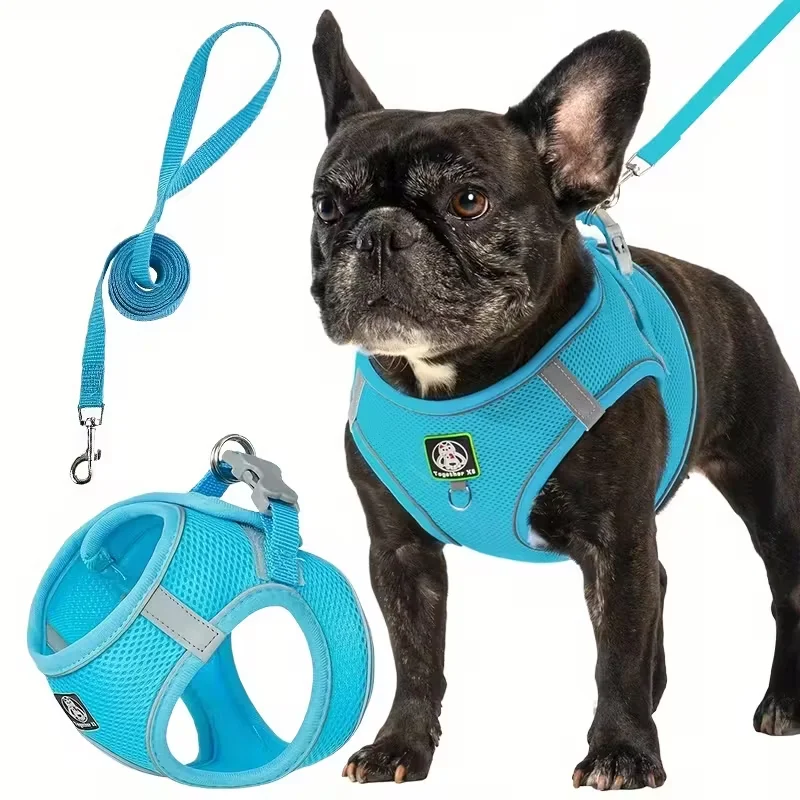Thumbnail 4 - #60 Cheapest LED Dog Collars Deals You Can Get