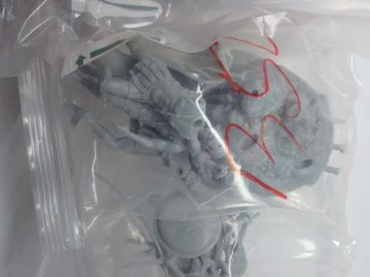 Buyer photo of this resin kit