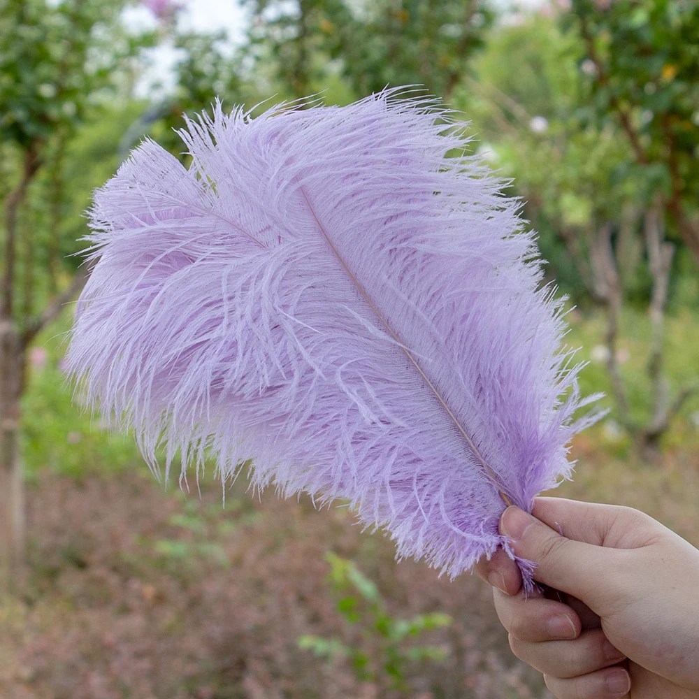 10Pcs Natural Fluffy Ostrich Feathers 15-50CM for Crafts DIY Decor Wedding Party Table Centerpiece Carnival Plumes Accessories