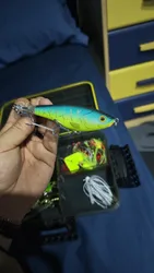 Imagen de reseña 1