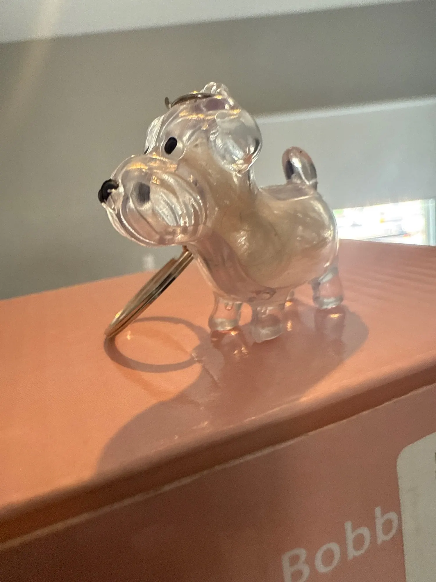 Customer Review Image