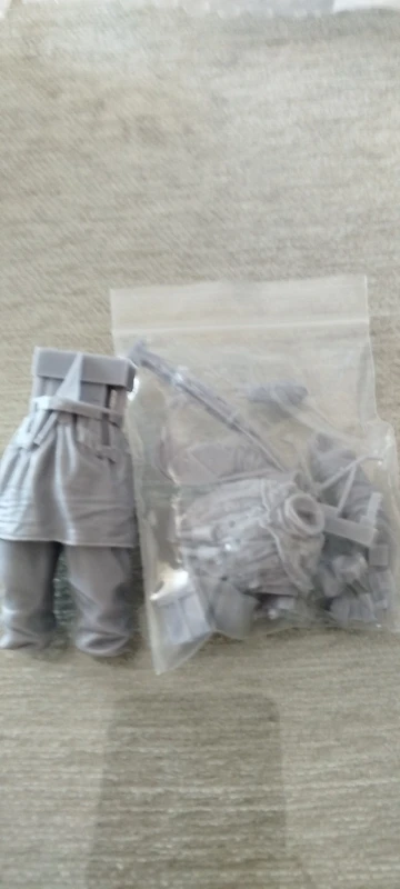 Buyer photo of this resin kit