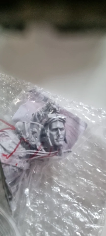 Buyer photo of this resin kit