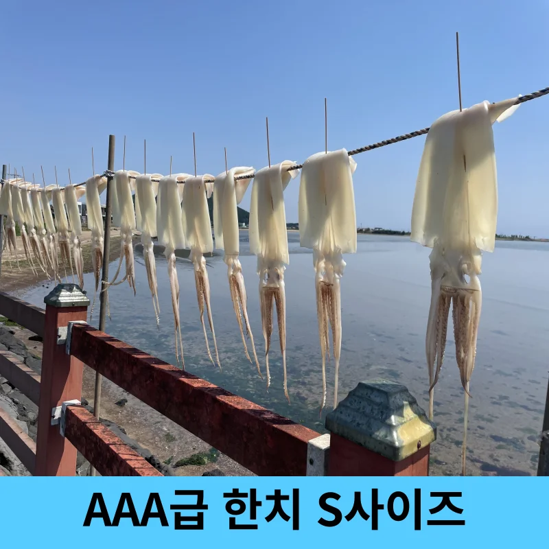 연하고 부드러운 최상품 AAA급 한치 20마리 S사이즈 반건조