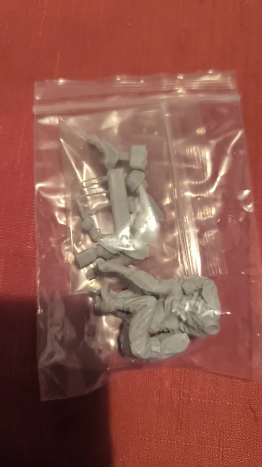 Buyer photo of this resin kit