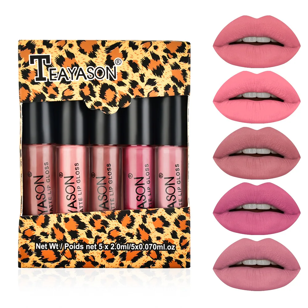 Leopard Print Round Tube 5-Piece Lip Gloss Set, Matte Waterproof Non-Fading Nude Color Set, Skin Tone Pumpkin Color Lip Glaze