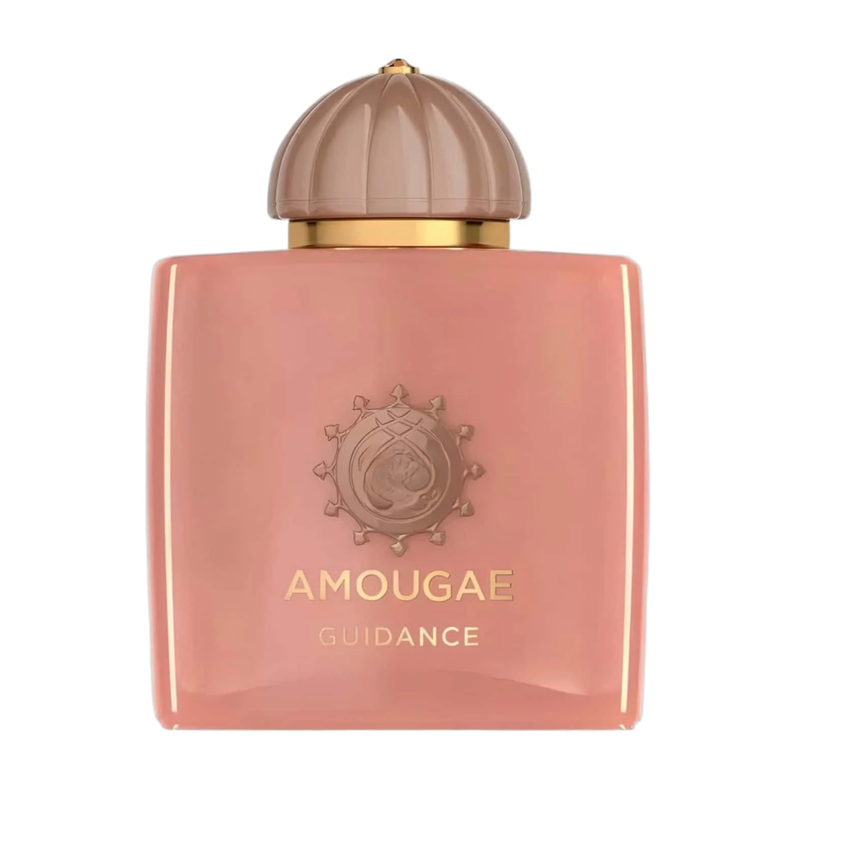 Am0Uage Guidance Ed…