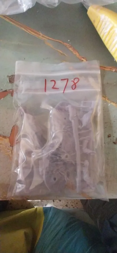 Buyer photo of this resin kit