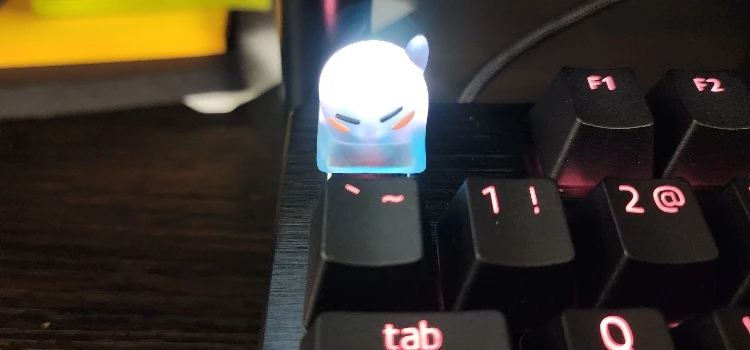 실물 포토 리뷰