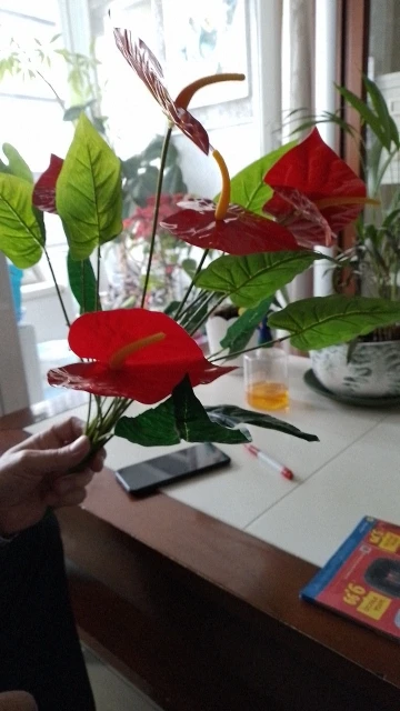 53cm Artificial Monstera Leaves Home Plastic Palm Fronds Fake Anthurium Greenery Tree Big Herb Plant For Garden Outdoor Decor photo review