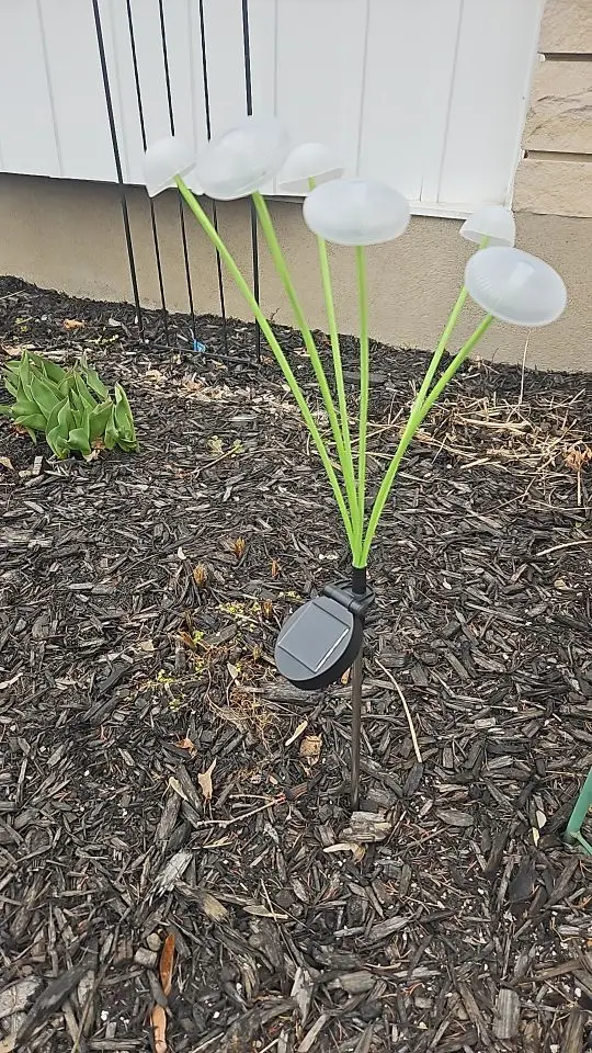 Customer review photo