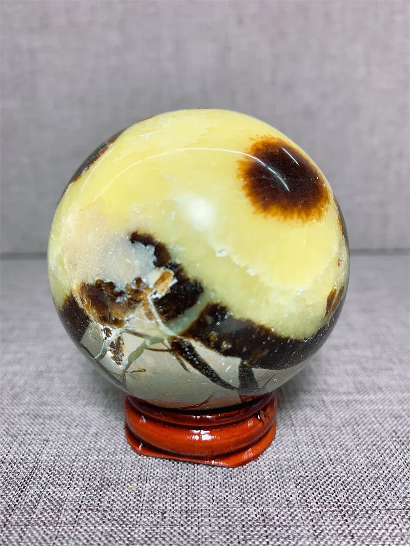 

Natural Septarium Sphere Free Form Tumble Slab Crystal Mineral Madagascar Healing Palm Workmanship Ornament Carving Chip