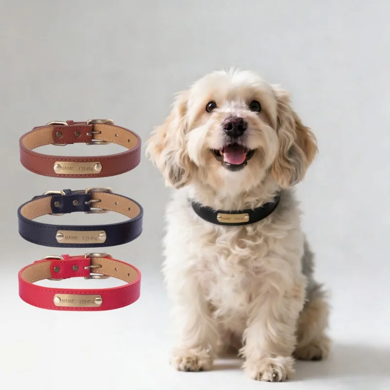 Custom Engraved Dog Collar Personalized Puppy Cat Collars Nameplate Adjustable for Small Medium Dogs Cats Chihuahua