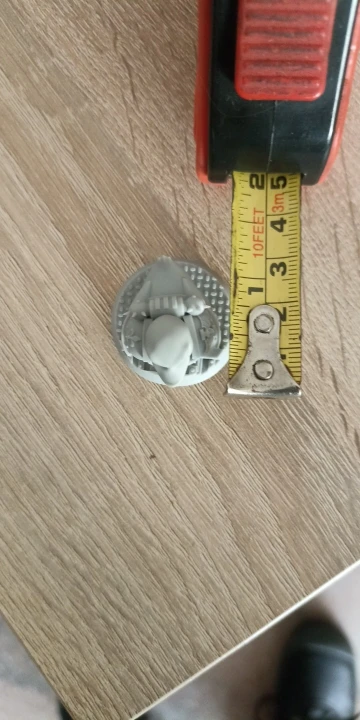 Buyer photo of this resin kit