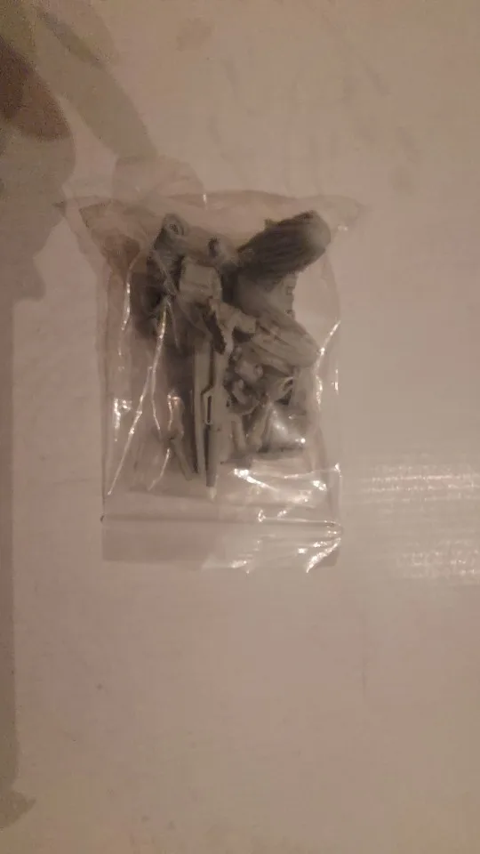 Buyer photo of this resin kit
