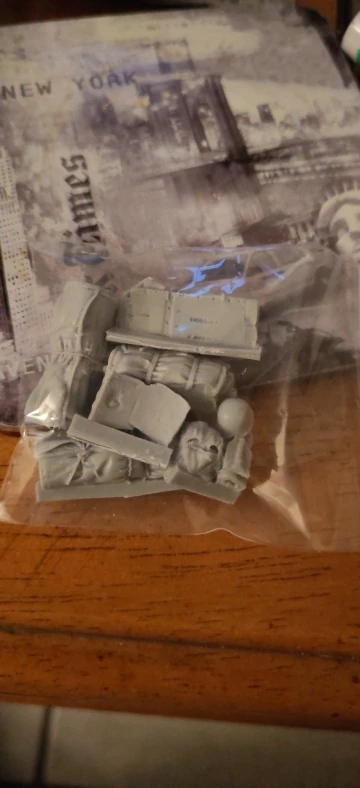 Buyer photo of this resin kit