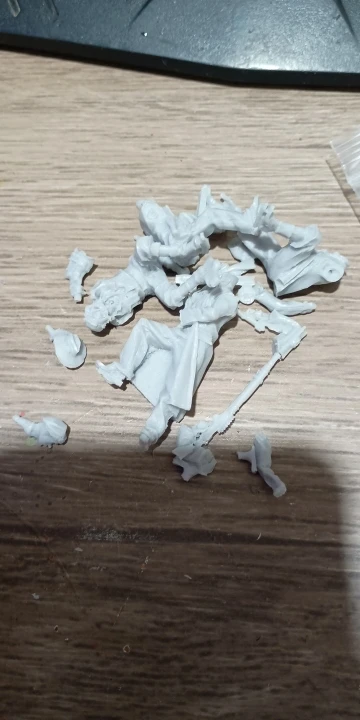 Buyer photo of this resin kit