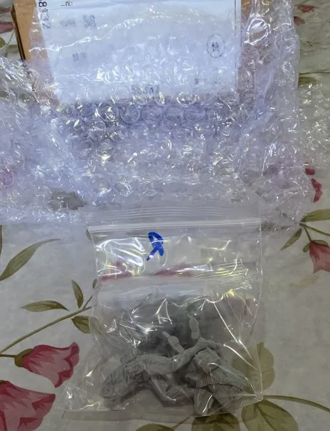Buyer photo of this resin kit