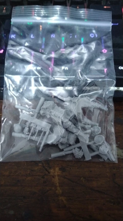 Buyer photo of this resin kit