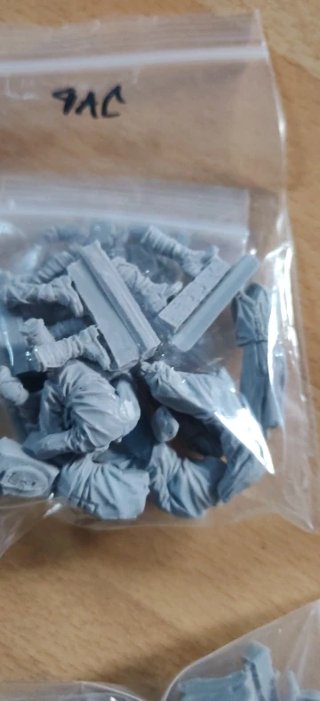 Buyer photo of this resin kit