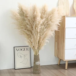 80cm Large Tall Fluffy Pampas Grass, Dried Flowers, Boho Decor, Plant for Vase, Flower Arrangement, Home, Wedding Decor