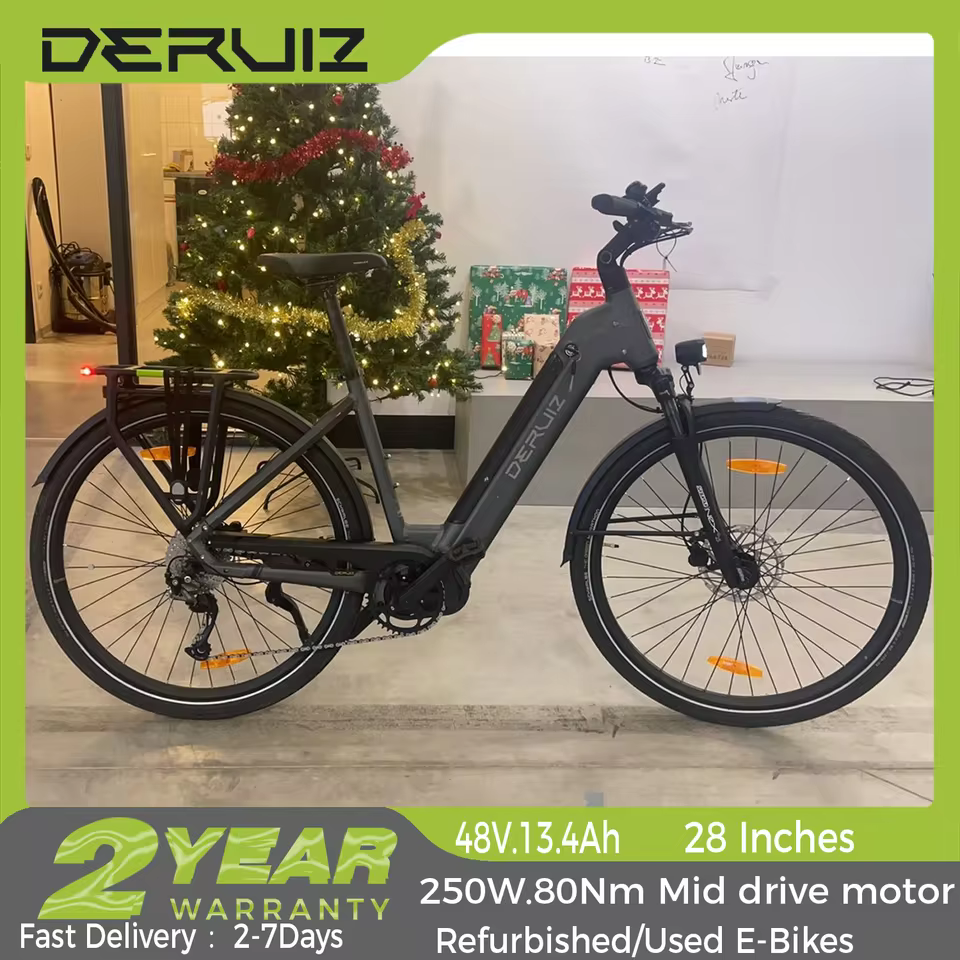 DERUlZ Mica G eBike, 250W-80Nm m