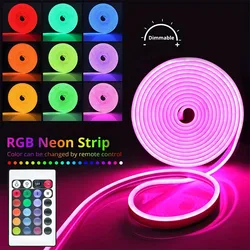 Elastyczny silikonowy neon LED Sign Light RGB Strip Lamp Rope Wodoodporny ściemnialny pilot USB 5V SMD 3535 108 diod LED/M Decor