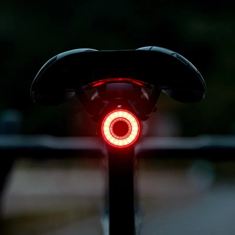 AliExpress ROCKBROS Smart Bike Tail Light Bicycle Rear Lights IPX6 Waterproof Bike Lights for Night Riding with Type C Rechargeable