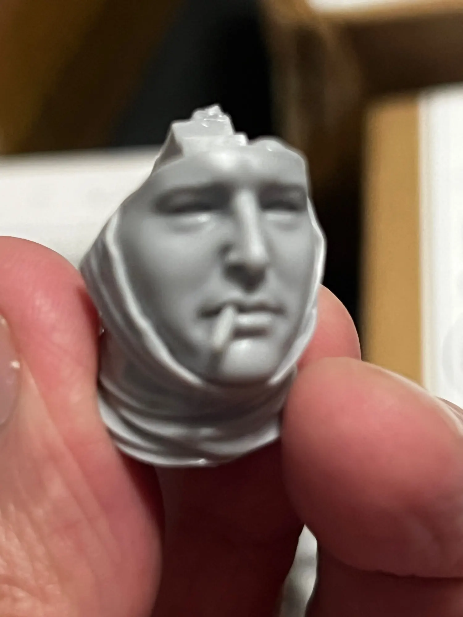 Buyer photo of this resin kit