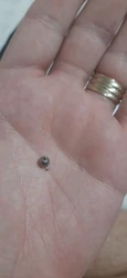 Imagen de reseña 3